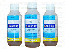 Thuốc trừ mối Agenda